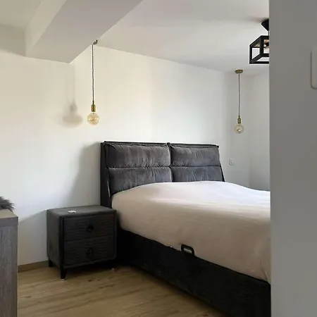 Διαμέρισμα Sinalospa - Cosala Appartemement Sauna Jacuzzi Grande Terrasse A 5 Minutes De Nancy Place Stanislas Champigneulles