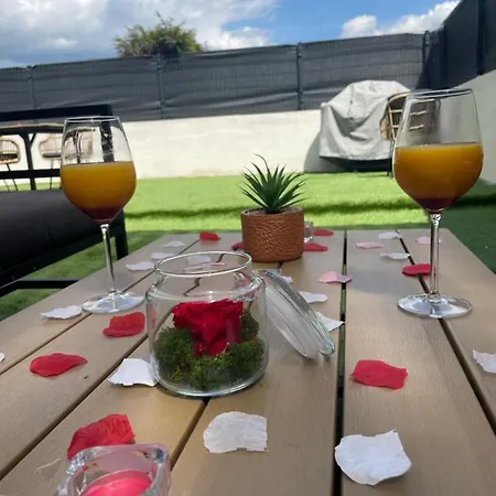Sinalospa - Cosala Appartemement Sauna Jacuzzi Grande Terrasse A 5 Minutes De Nancy Place Stanislas *