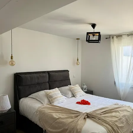 Sinalospa - Cosala Appartemement Sauna Jacuzzi Grande Terrasse A 5 Minutes De Nancy Place Stanislas Apartman *
