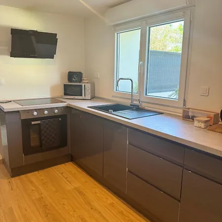 Sinalospa - Cosala Appartemement Sauna Jacuzzi Grande Terrasse A 5 Minutes De Nancy Place Stanislas Διαμέρισμα *