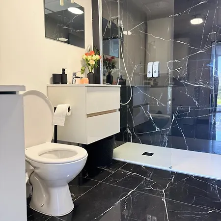 Sinalospa - Cosala Appartemement Sauna Jacuzzi Grande Terrasse A 5 Minutes De Nancy Place Stanislas * Champigneulles