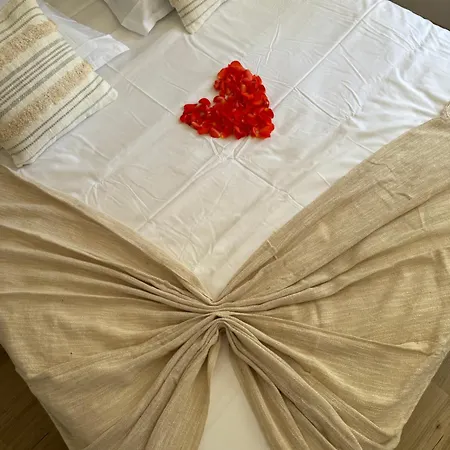 Apartman Sinalospa - Cosala Appartemement Sauna Jacuzzi Grande Terrasse A 5 Minutes De Nancy Place Stanislas
