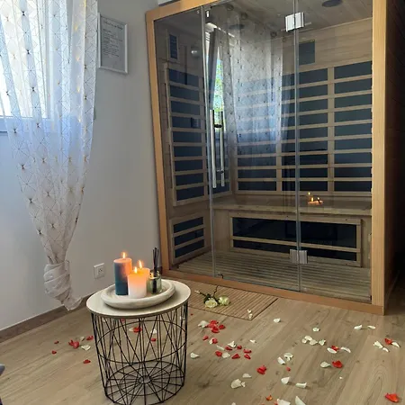 Sinalospa - Cosala Appartemement Sauna Jacuzzi Grande Terrasse A 5 Minutes De Nancy Place Stanislas